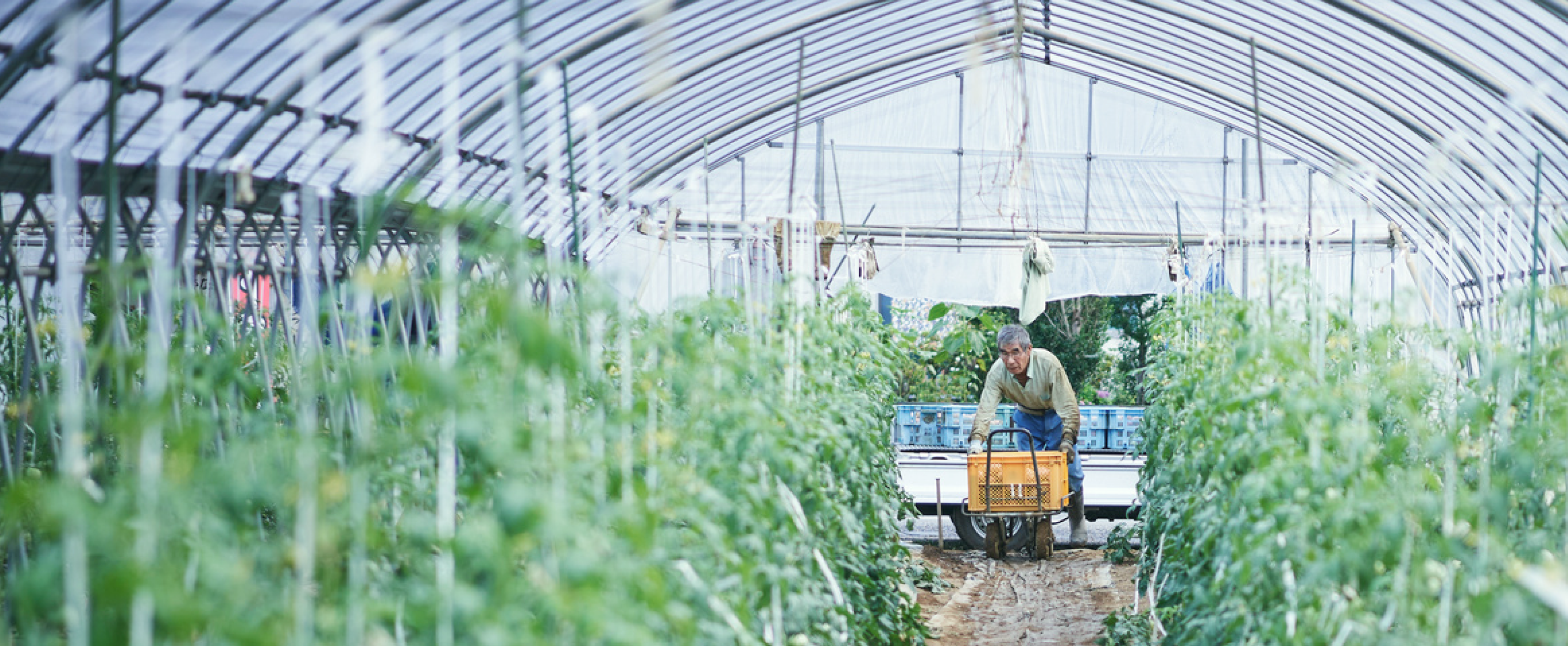 メインビジュアル