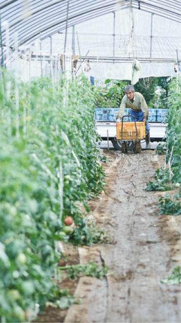 メインビジュアル