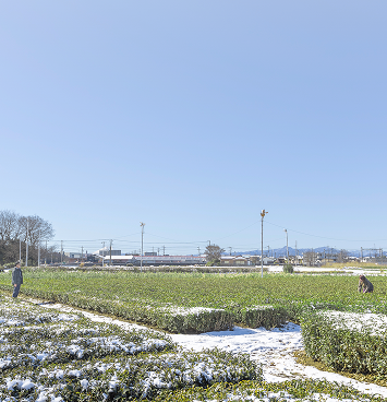 メインビジュアル